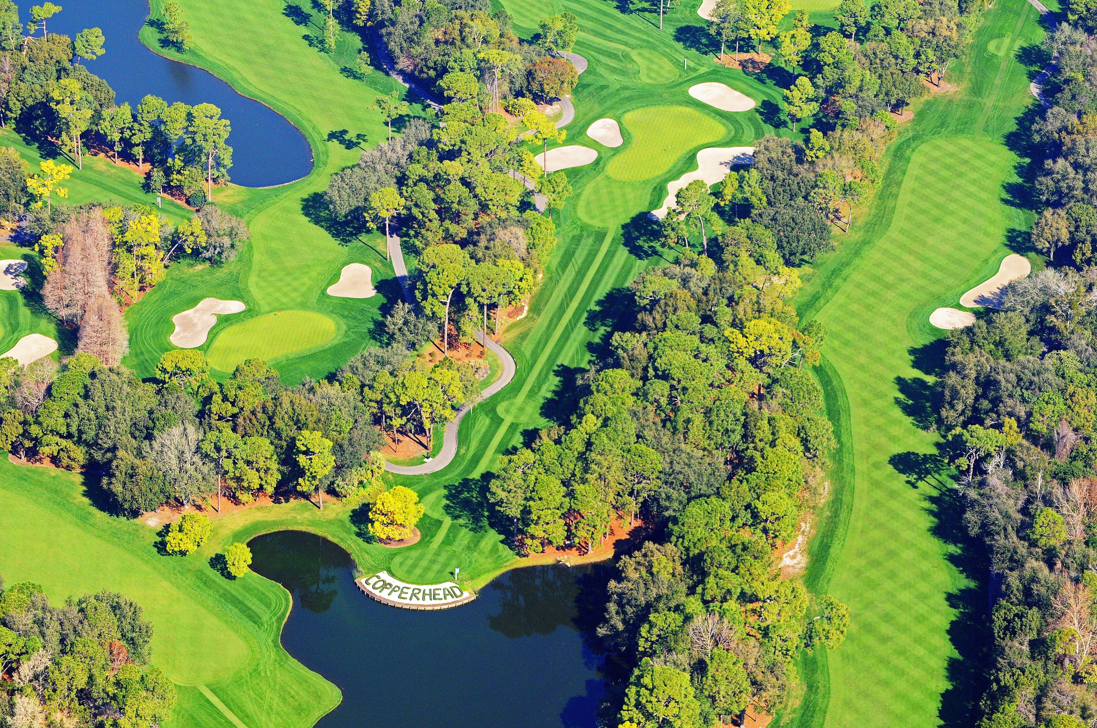Innisbrook Resort Палм-Харбор Экстерьер фото